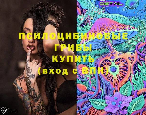 эйфоретик Абинск