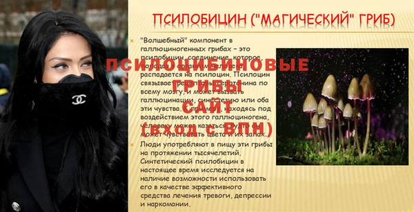 стаф Абдулино