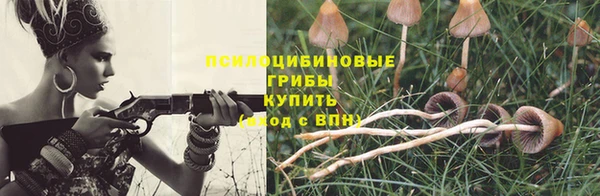 стаф Абдулино
