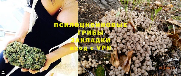 эйфоретик Абинск