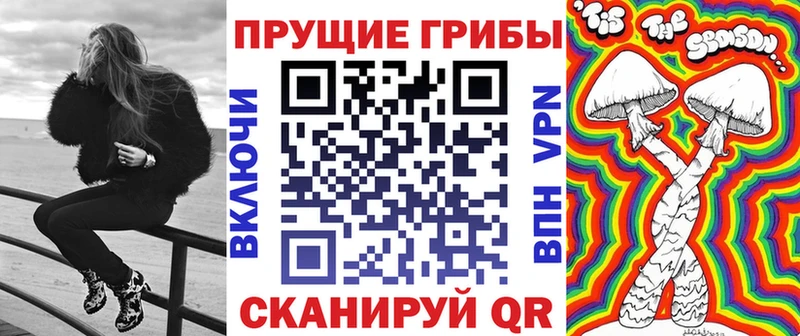 МЕГА ONION наркошоп Новая Усмань Псилоцибиновые грибы Psilocybe